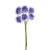 image variant Lavanda