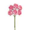 image variant Rosa