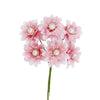 image variant Rosa