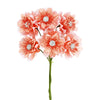 image variant Coral