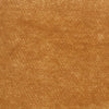image variant Camel