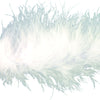 image variant Blanco