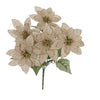 image variant Natural