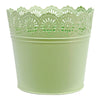 image variant Menta