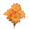 image variant Naranja
