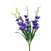 image variant Morado