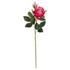 image variant Rosa