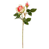 image variant Crema/Rosa