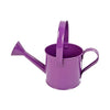 image variant Morado
