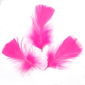 Art.4687 Pluma