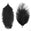 Fantasías Miguel Art.4726 Pluma De Avestruz 20-25cm 2pz Negro