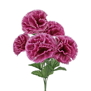 Art.4866 Bush Chico Clavel Matizado X5