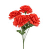 image variant Rojo