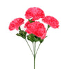image variant Rosa/Rosa