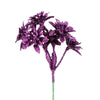 image variant Morado