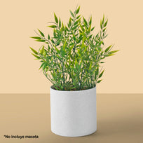 Art.5188 Follaje De Plástico Fino 44cm 1pz