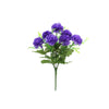 image variant Morado
