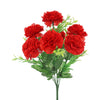 image variant Rojo