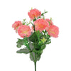 image variant Rosa