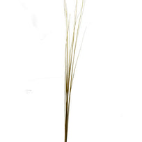 Art.5667 Vara Recta Con Diamantina