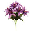 image variant Morado
