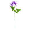 image variant Violeta