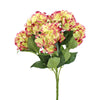image variant Fiusha