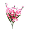 image variant Rosa