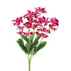 image variant Fiusha