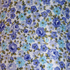 image variant Azul