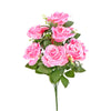 image variant Rosa