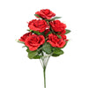 image variant Rojo