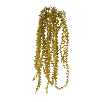 Fantasías Miguel Art.6304 Planta Con Follaje Fina x7 43cm 1pz