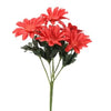 image variant Rojo