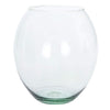 image variant Transparente