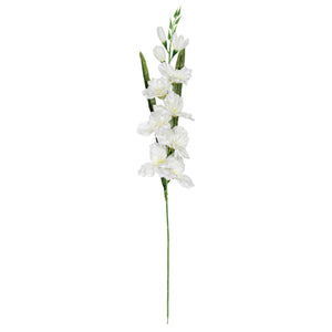 Art.6921 Flor Tallo Gladiola X1, 7 Flor