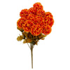 image variant Naranja