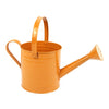 image variant Naranja