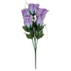 image variant Morado