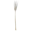 Fantasías Miguel Art.7759 Espiga De Trigo Diamantada 75cm   (Aprox) 10pz