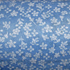 image variant Azul Claro