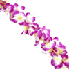 image variant Morado