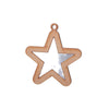 image variant Estrella