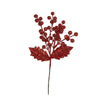image variant Rojo