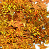 image variant Naranja Lase