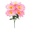 image variant Rosa