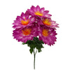 image variant Morado