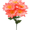 image variant Coral