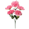 image variant Rosa