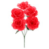 image variant Rojo